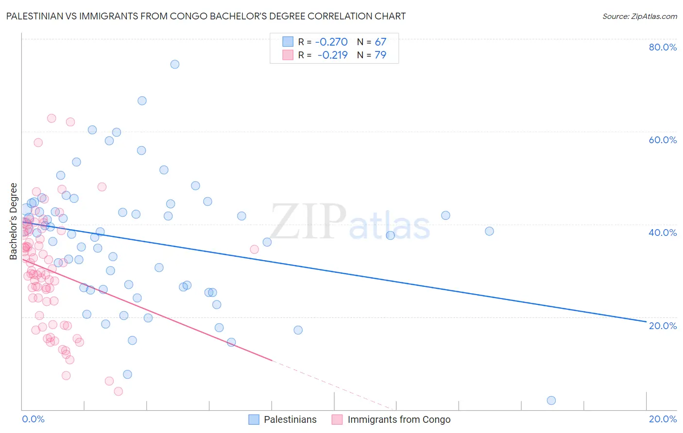Palestinian vs Immigrants from Congo Bachelor's Degree