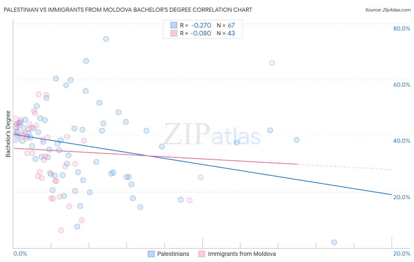 Palestinian vs Immigrants from Moldova Bachelor's Degree