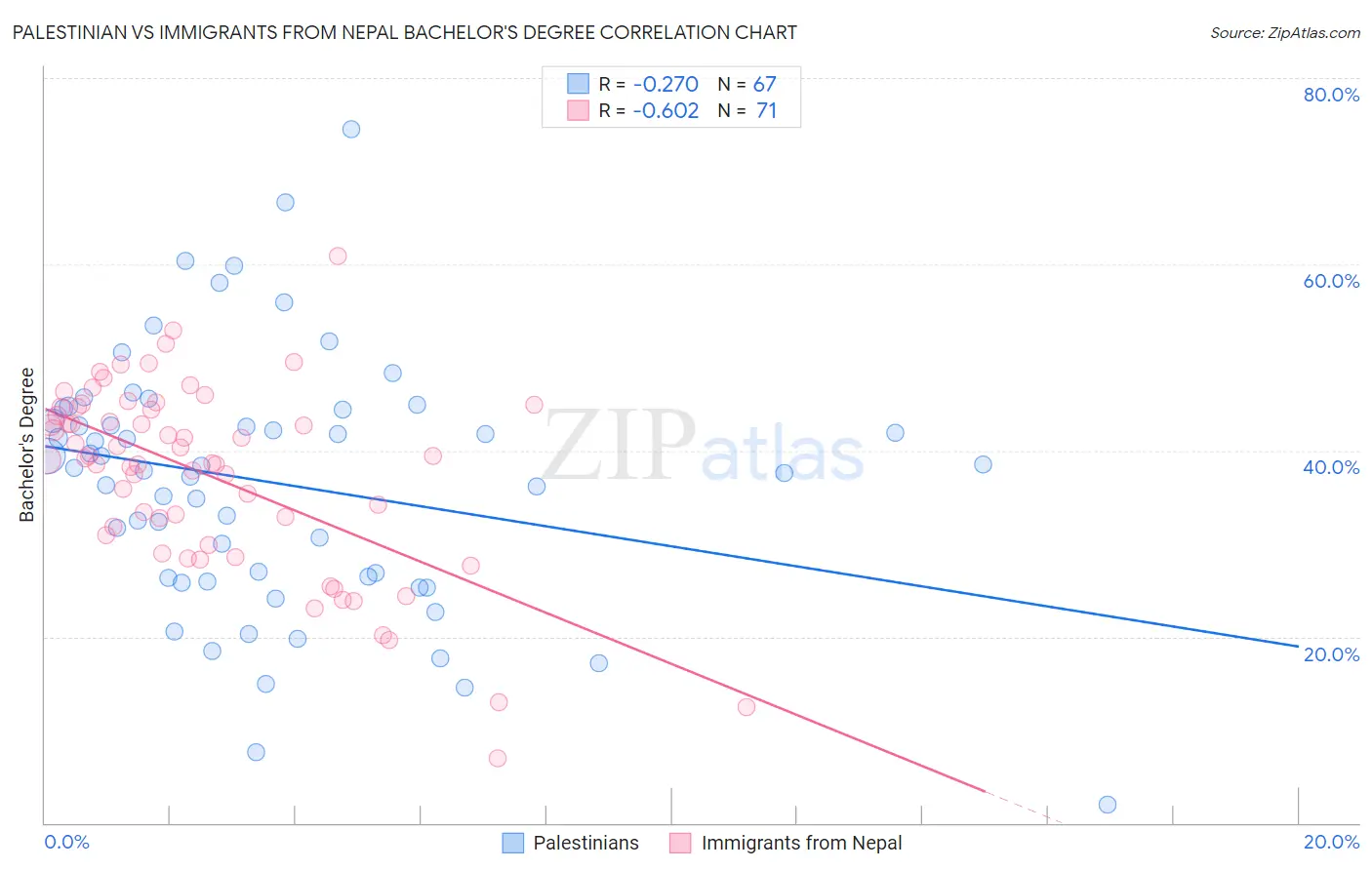 Palestinian vs Immigrants from Nepal Bachelor's Degree