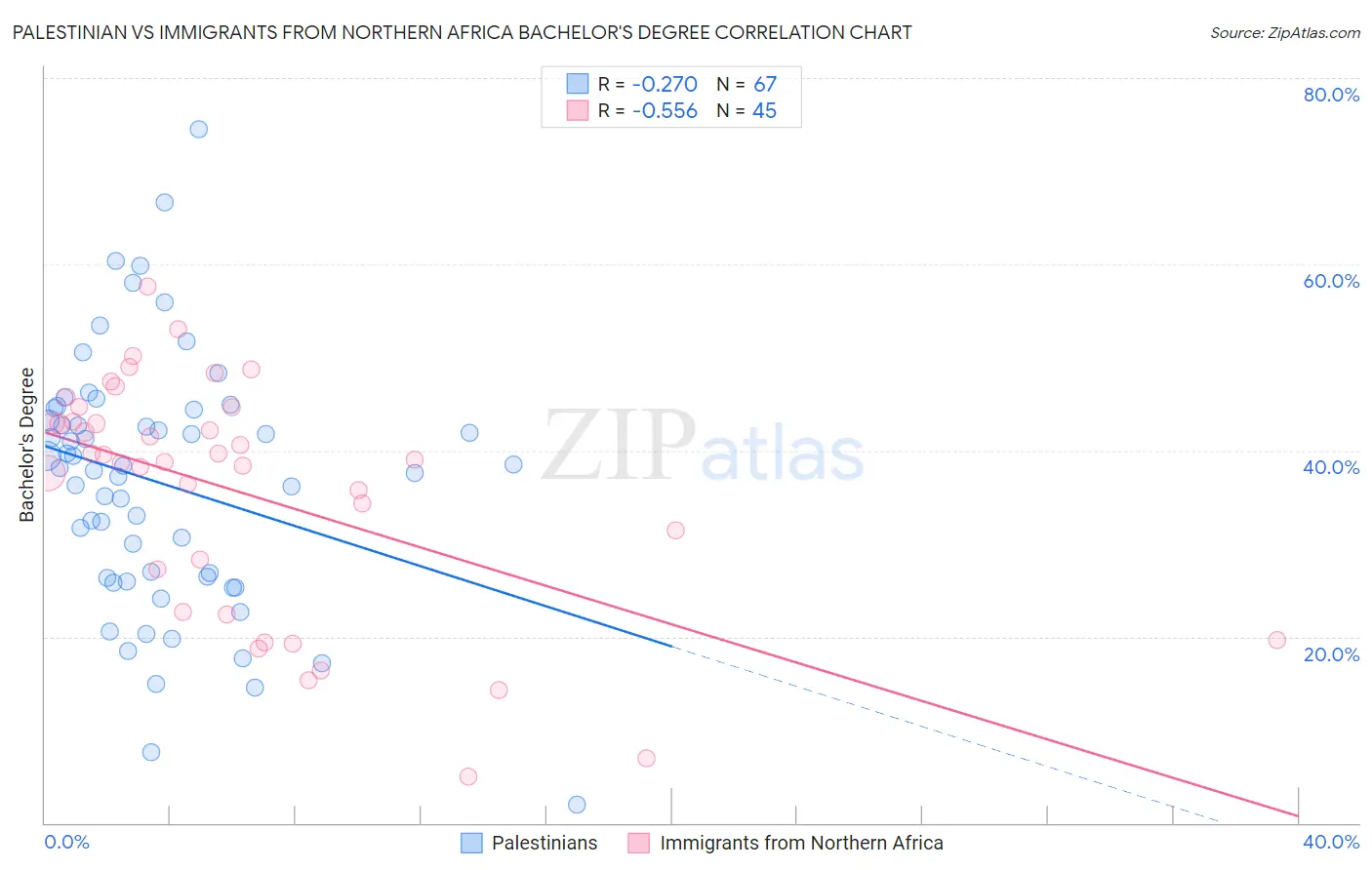 Palestinian vs Immigrants from Northern Africa Bachelor's Degree