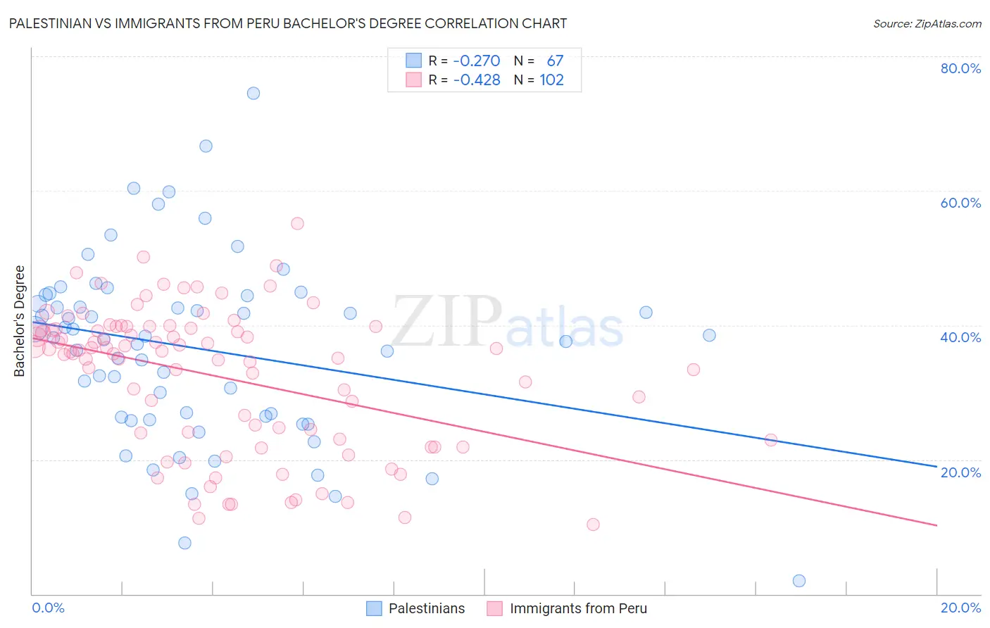 Palestinian vs Immigrants from Peru Bachelor's Degree