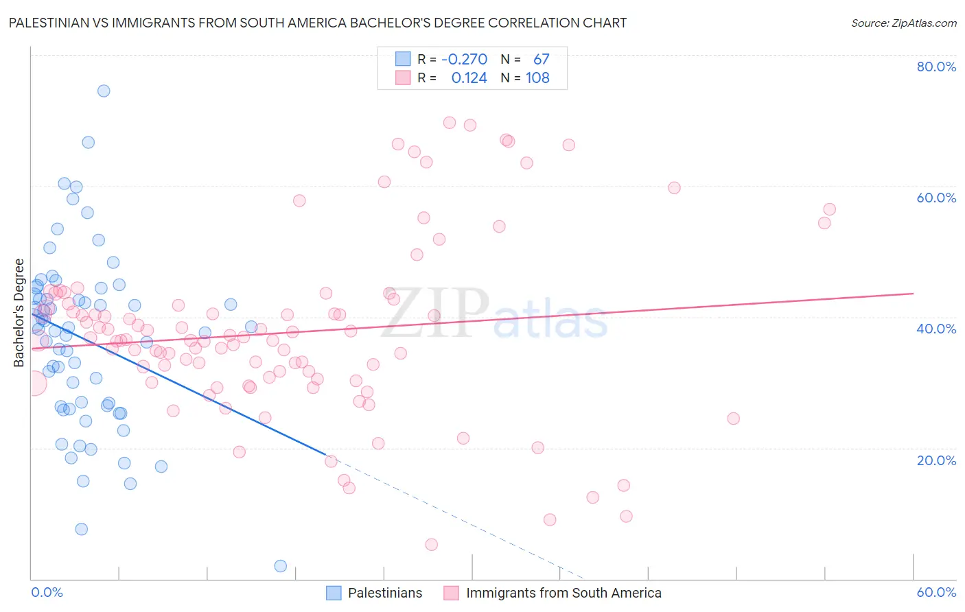 Palestinian vs Immigrants from South America Bachelor's Degree