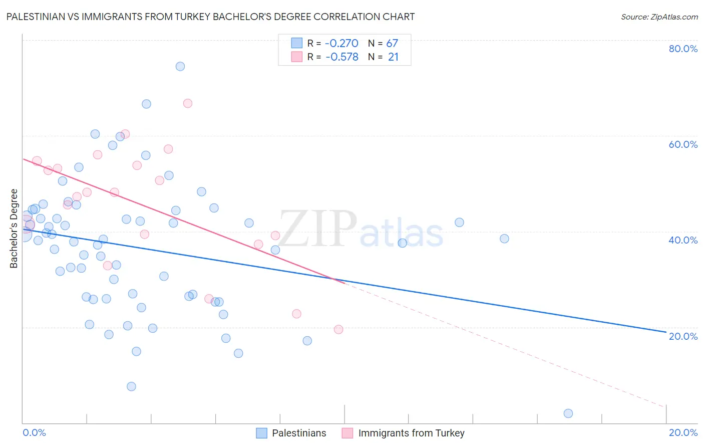 Palestinian vs Immigrants from Turkey Bachelor's Degree