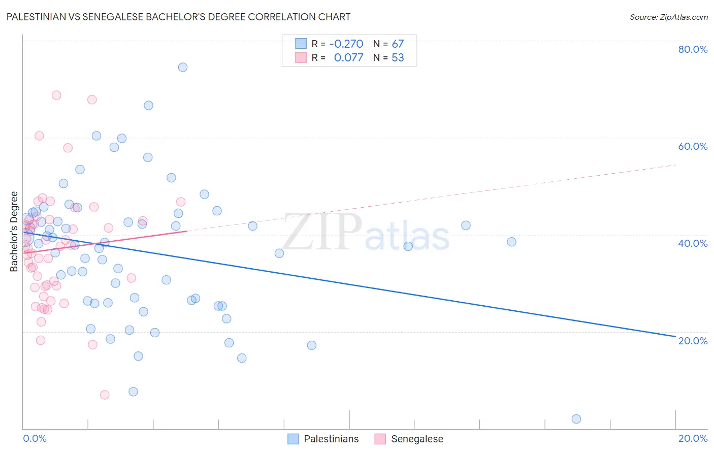 Palestinian vs Senegalese Bachelor's Degree