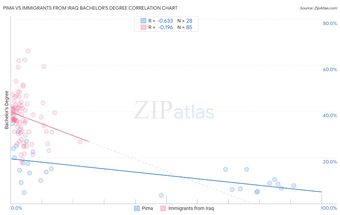 Pima vs Immigrants from Iraq Bachelor's Degree