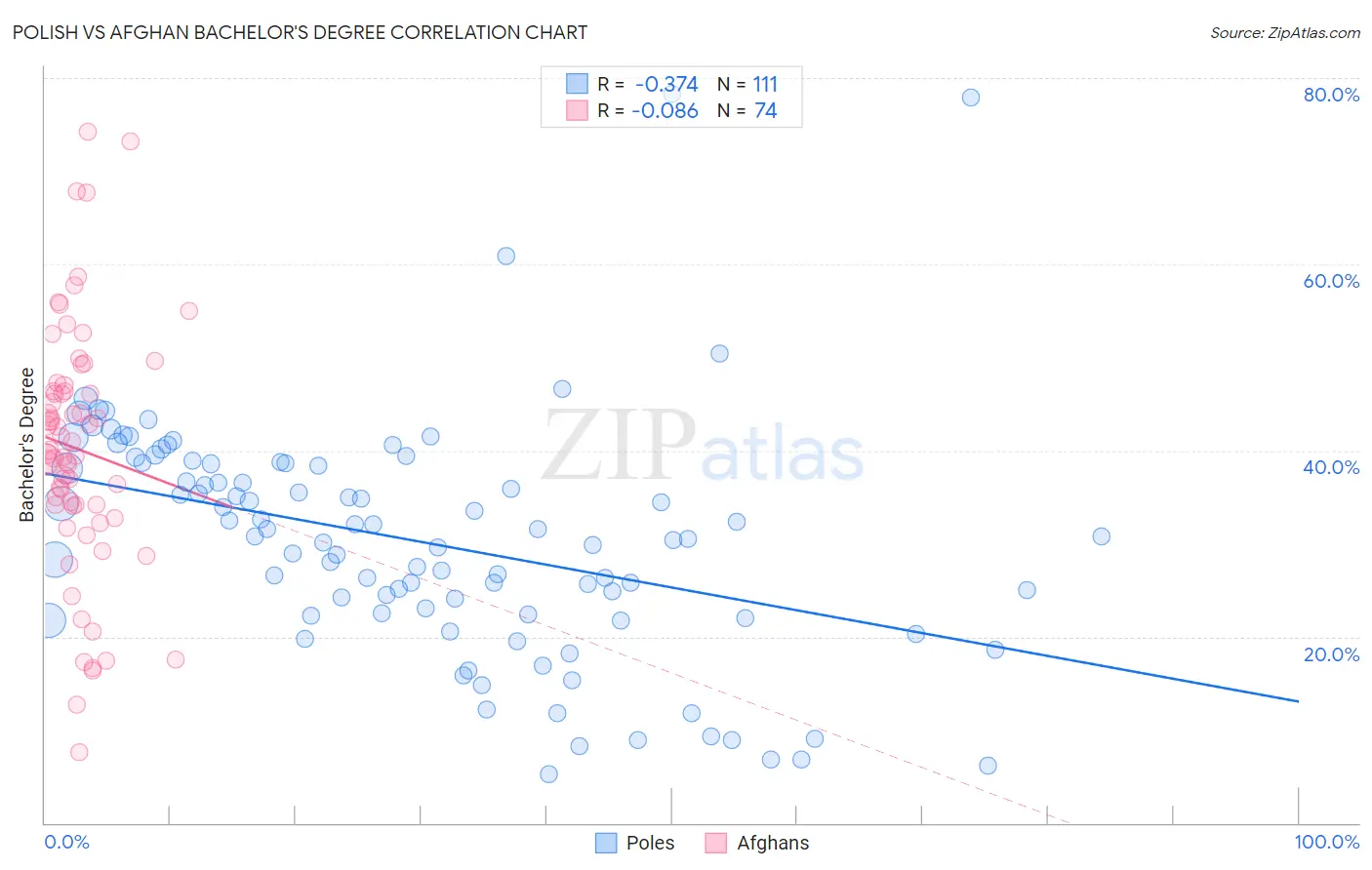 Polish vs Afghan Bachelor's Degree