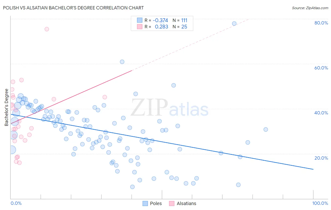 Polish vs Alsatian Bachelor's Degree