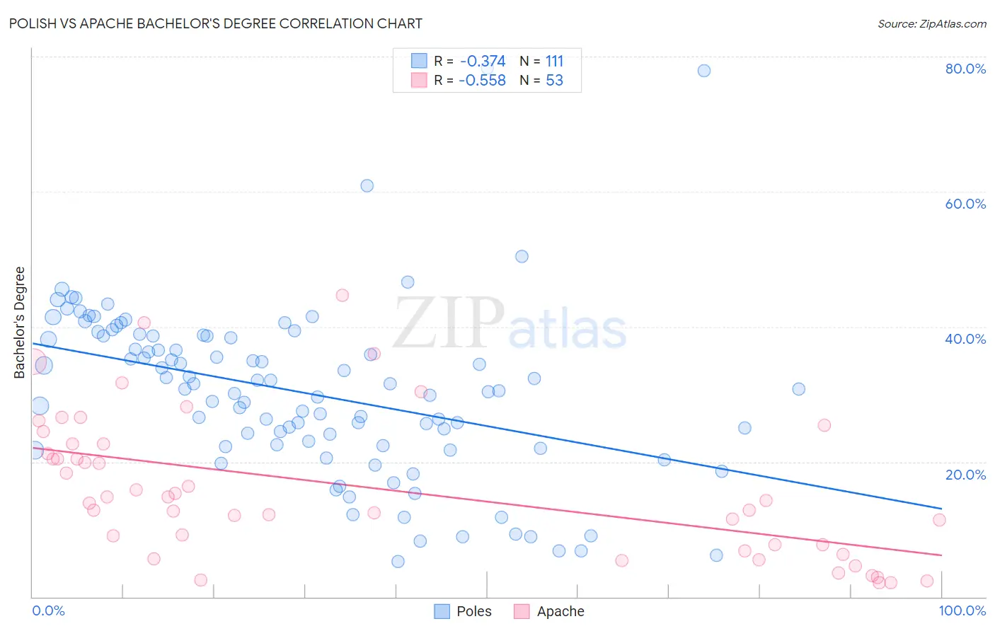 Polish vs Apache Bachelor's Degree