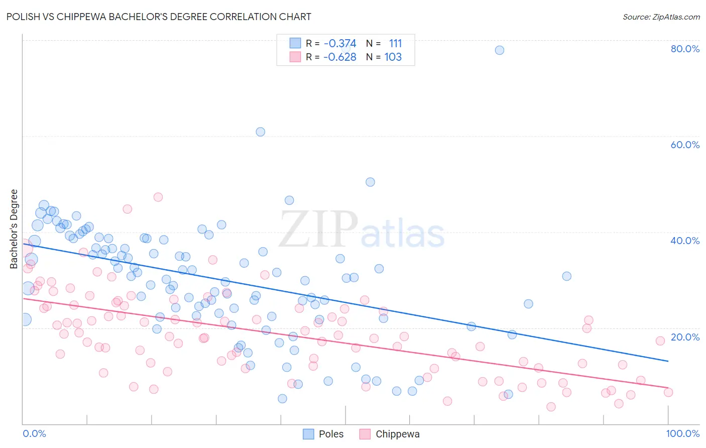 Polish vs Chippewa Bachelor's Degree