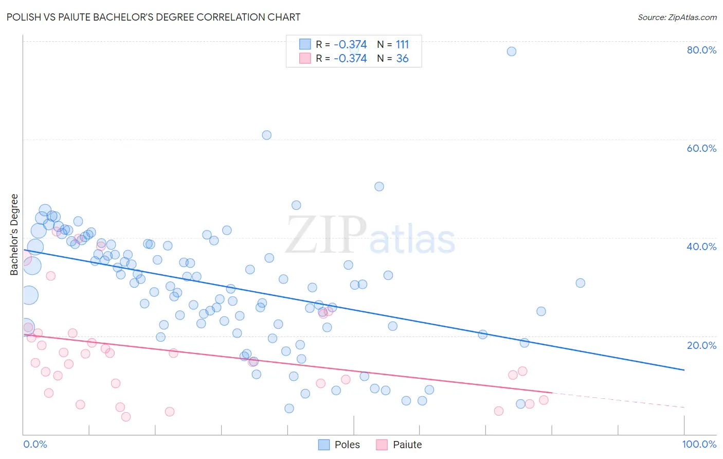 Polish vs Paiute Bachelor's Degree