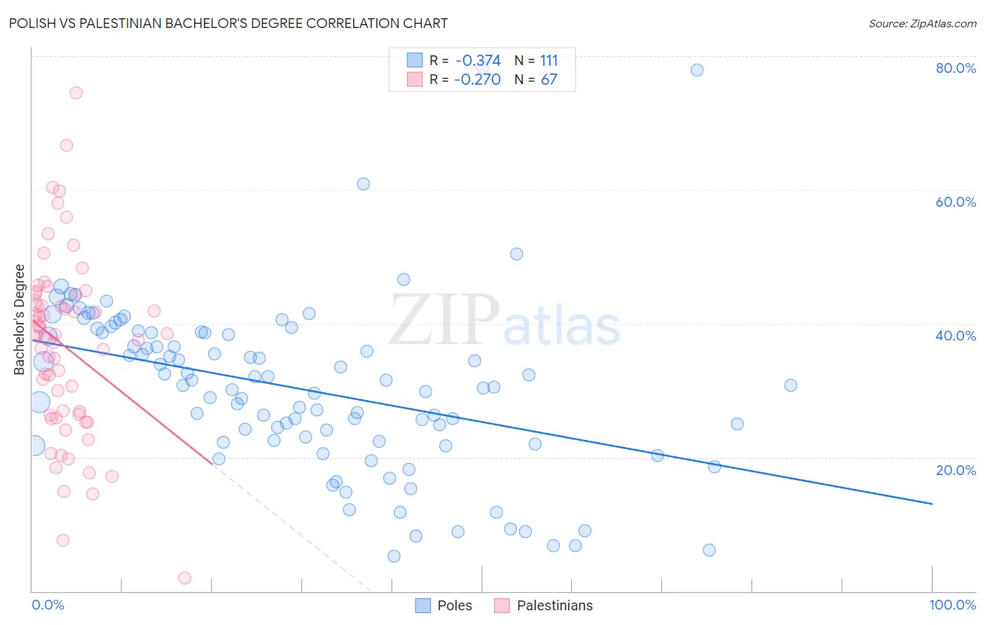 Polish vs Palestinian Bachelor's Degree