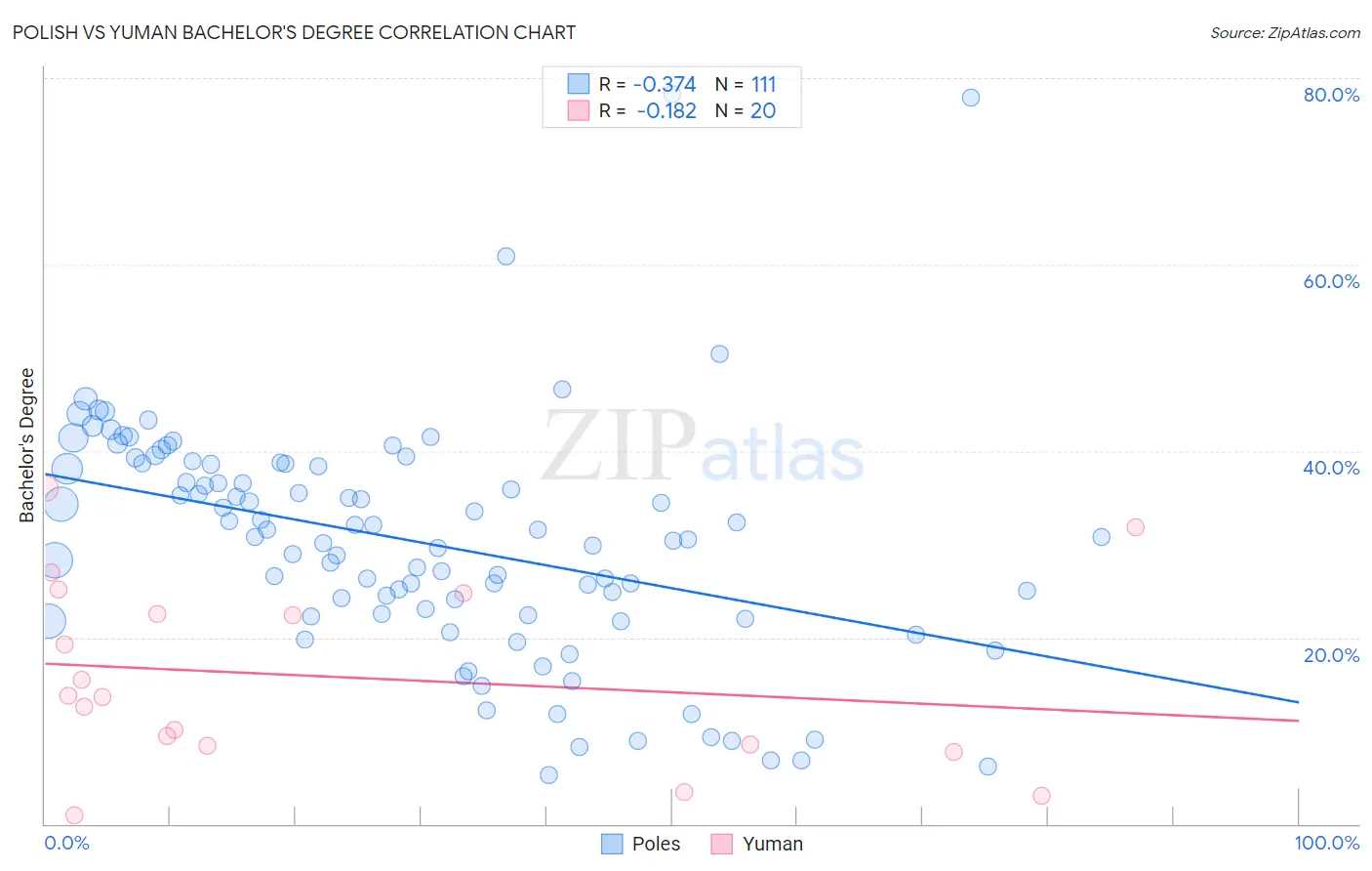 Polish vs Yuman Bachelor's Degree