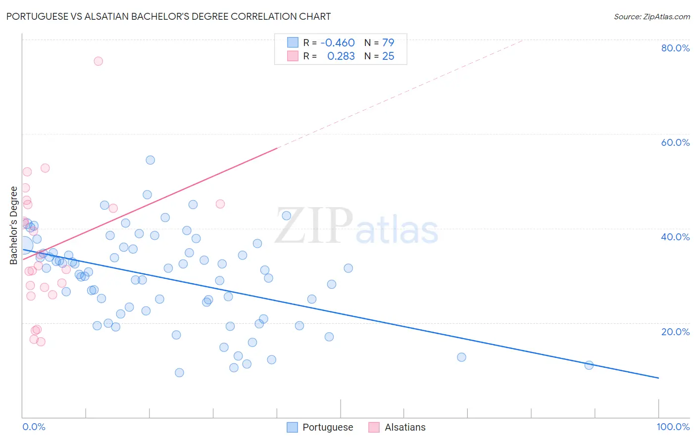 Portuguese vs Alsatian Bachelor's Degree