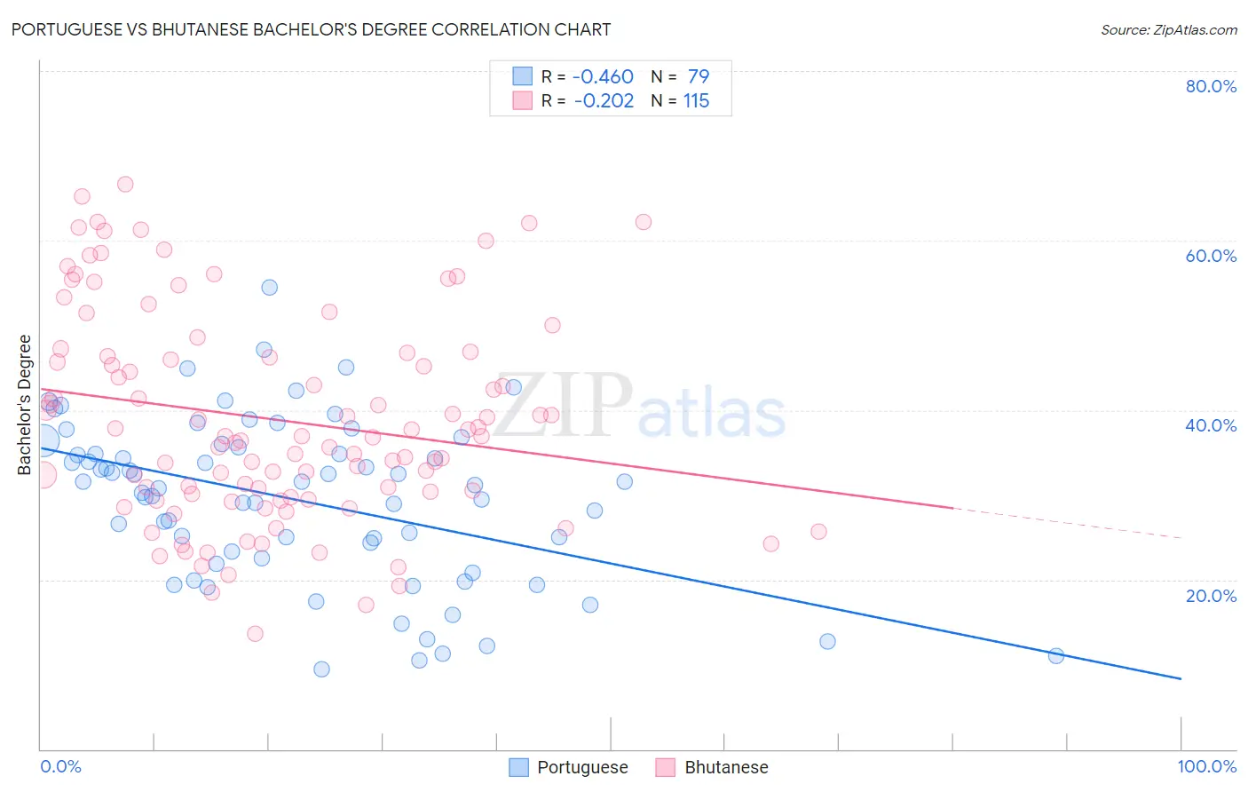 Portuguese vs Bhutanese Bachelor's Degree