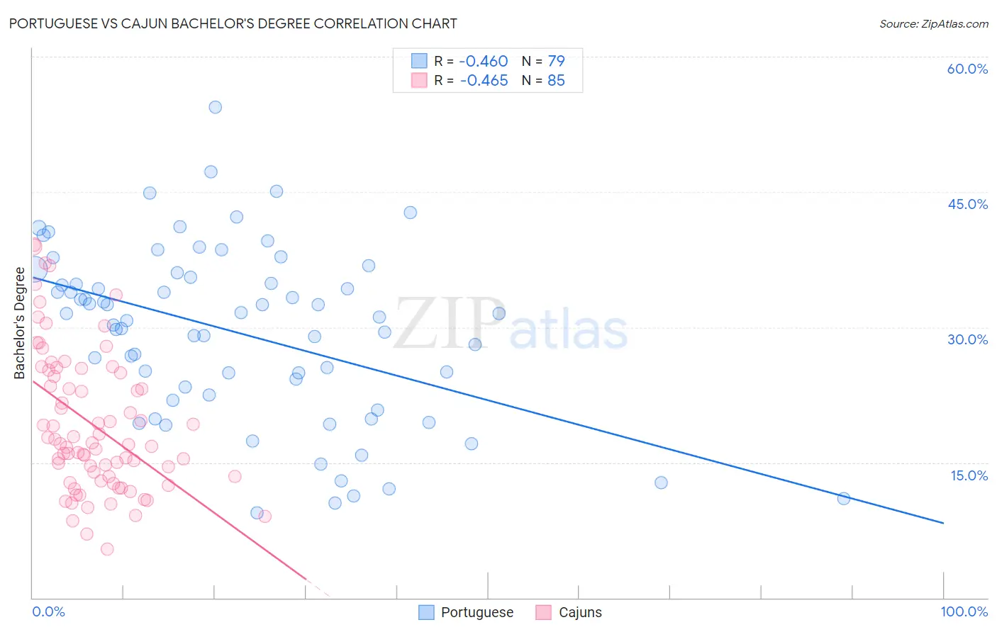 Portuguese vs Cajun Bachelor's Degree