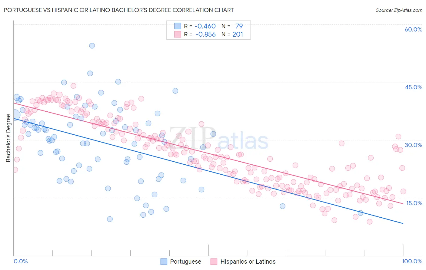 Portuguese vs Hispanic or Latino Bachelor's Degree