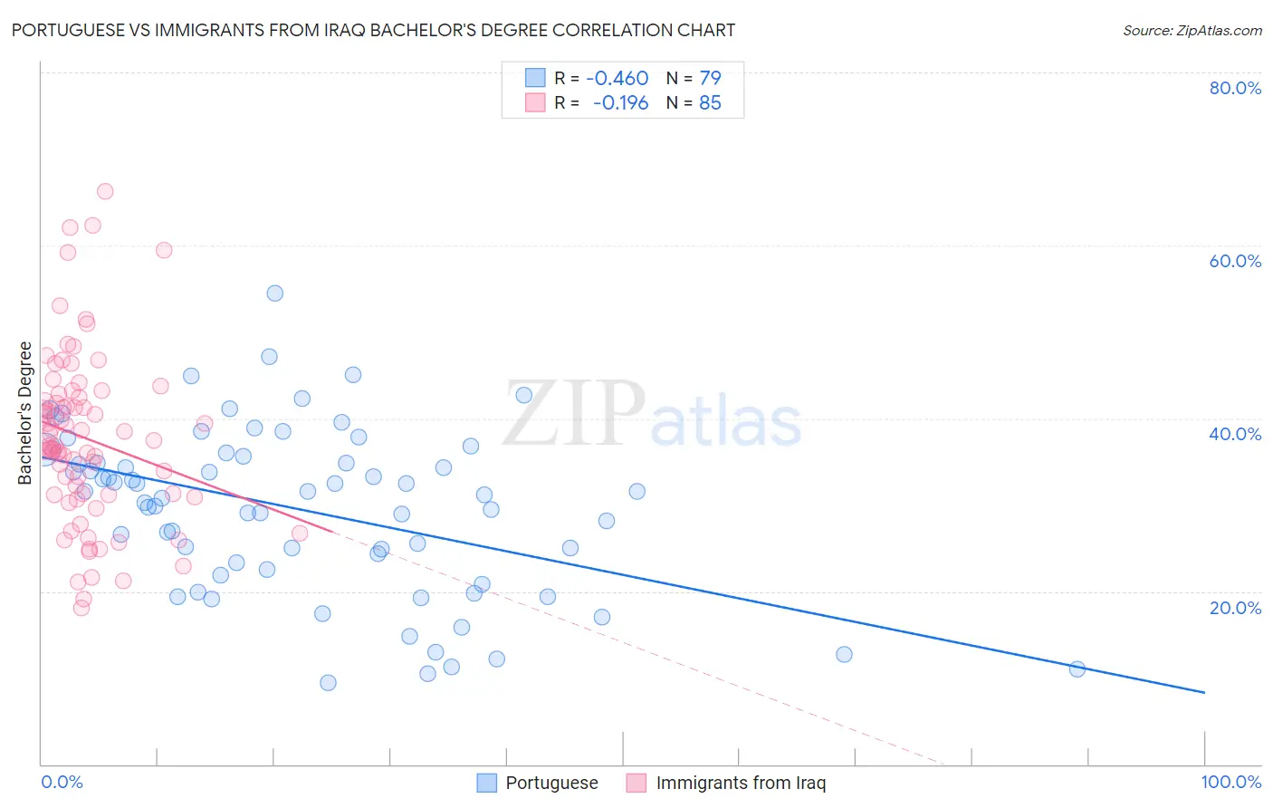 Portuguese vs Immigrants from Iraq Bachelor's Degree