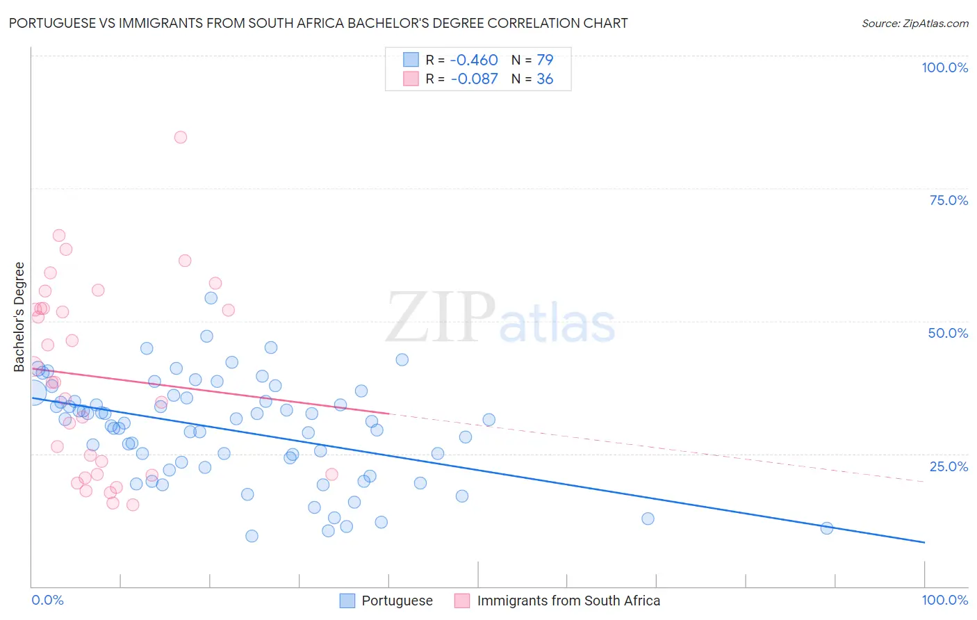 Portuguese vs Immigrants from South Africa Bachelor's Degree