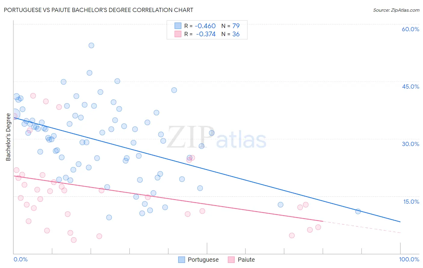 Portuguese vs Paiute Bachelor's Degree
