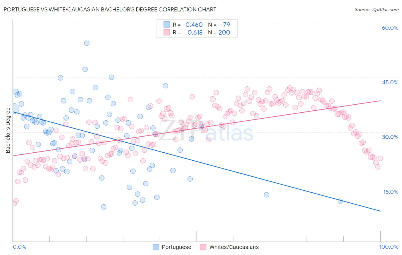 Portuguese vs White/Caucasian Bachelor's Degree