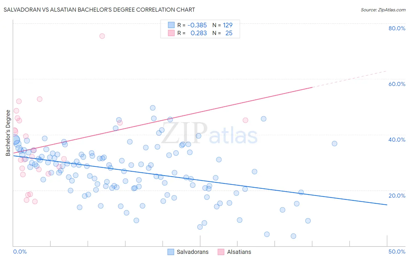Salvadoran vs Alsatian Bachelor's Degree