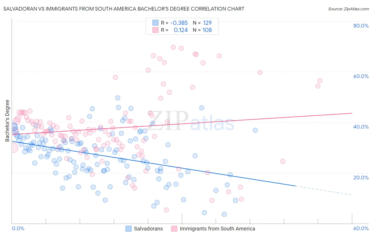 Salvadoran vs Immigrants from South America Bachelor's Degree
