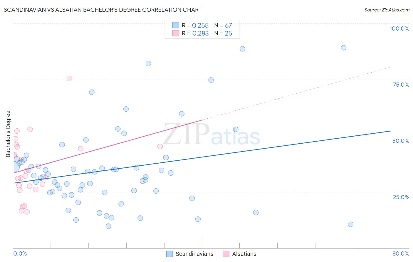 Scandinavian vs Alsatian Bachelor's Degree