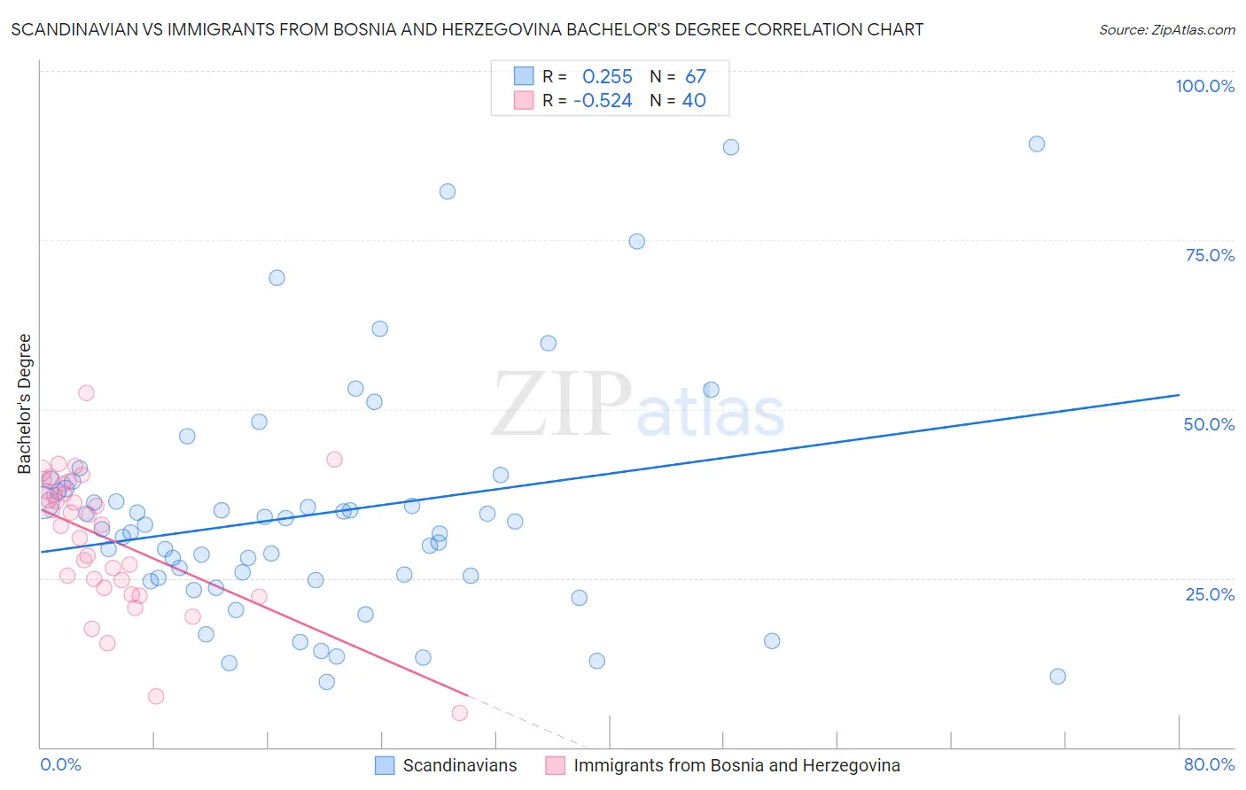 Scandinavian vs Immigrants from Bosnia and Herzegovina Bachelor's Degree