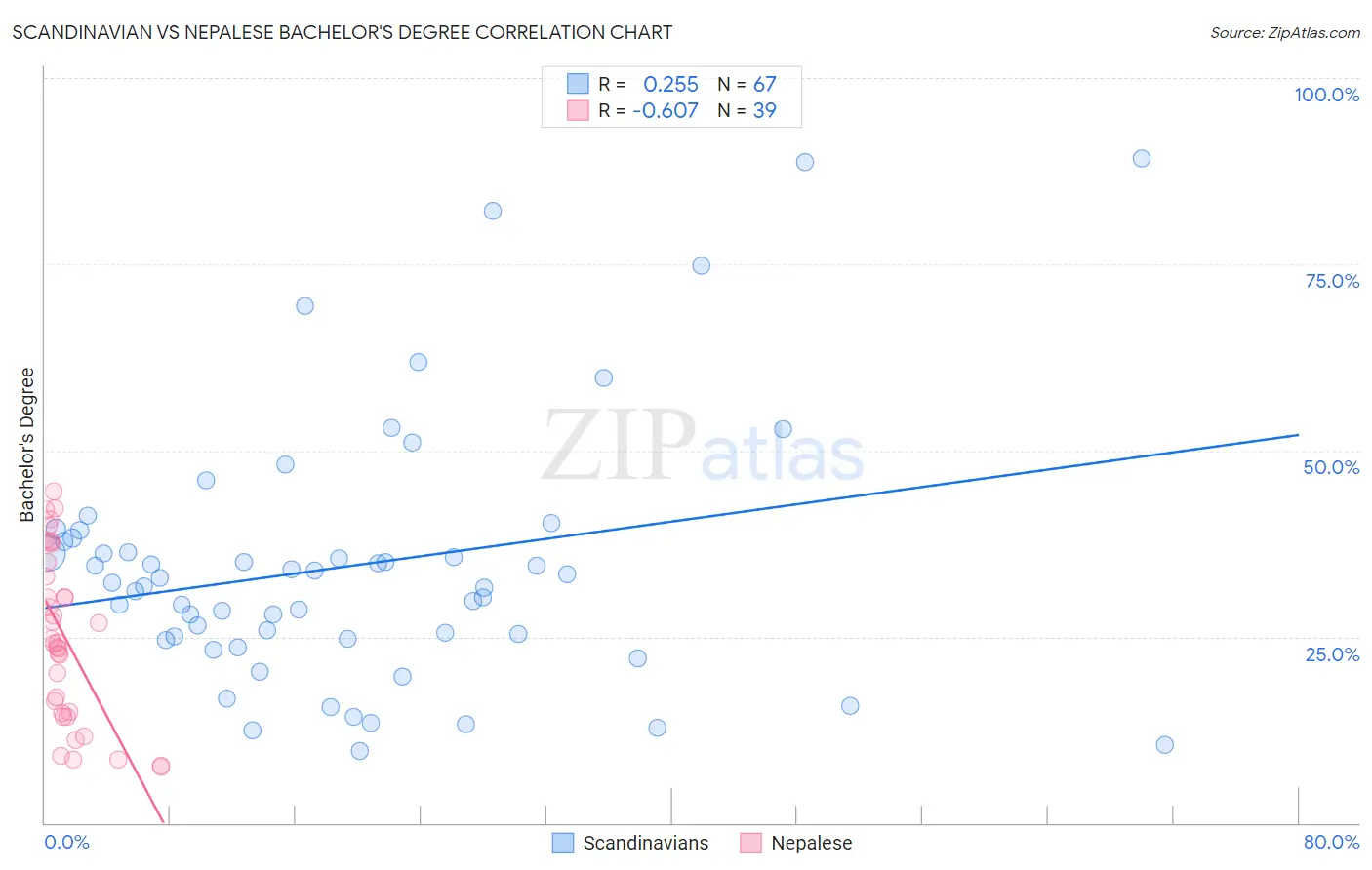 Scandinavian vs Nepalese Bachelor's Degree
