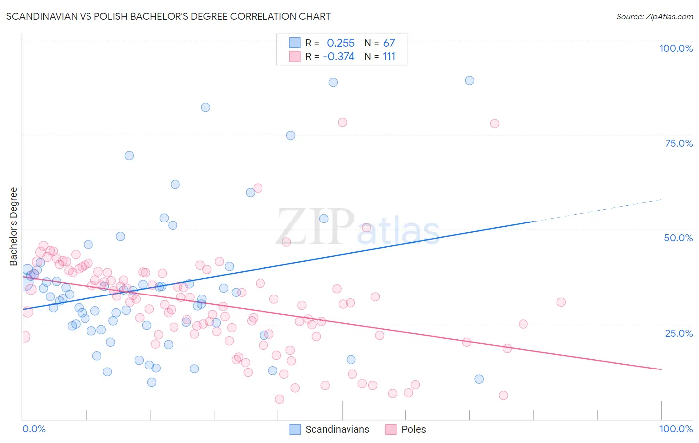 Scandinavian vs Polish Bachelor's Degree