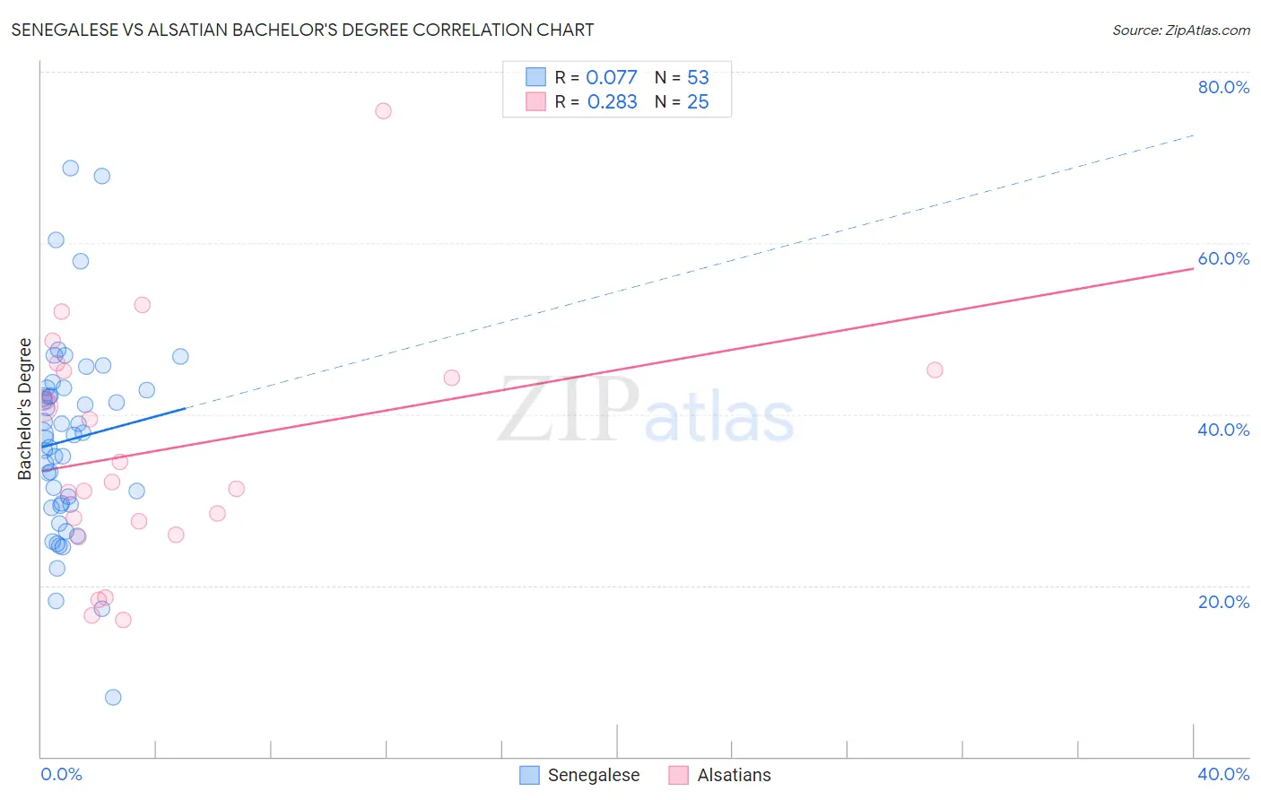 Senegalese vs Alsatian Bachelor's Degree