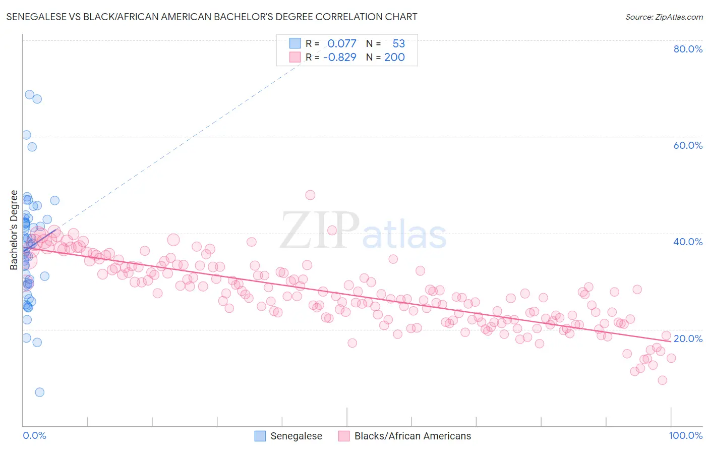 Senegalese vs Black/African American Bachelor's Degree