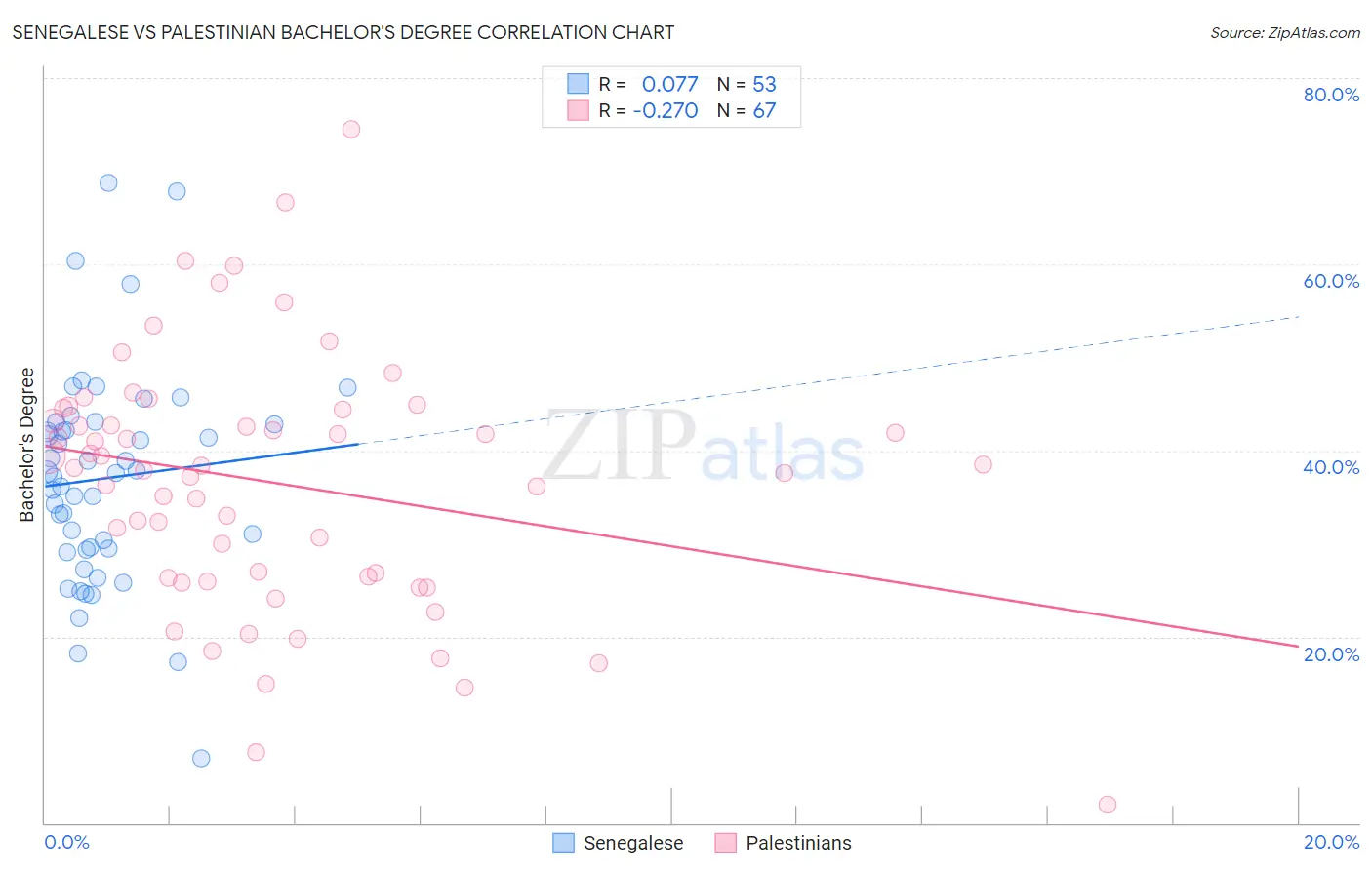Senegalese vs Palestinian Bachelor's Degree