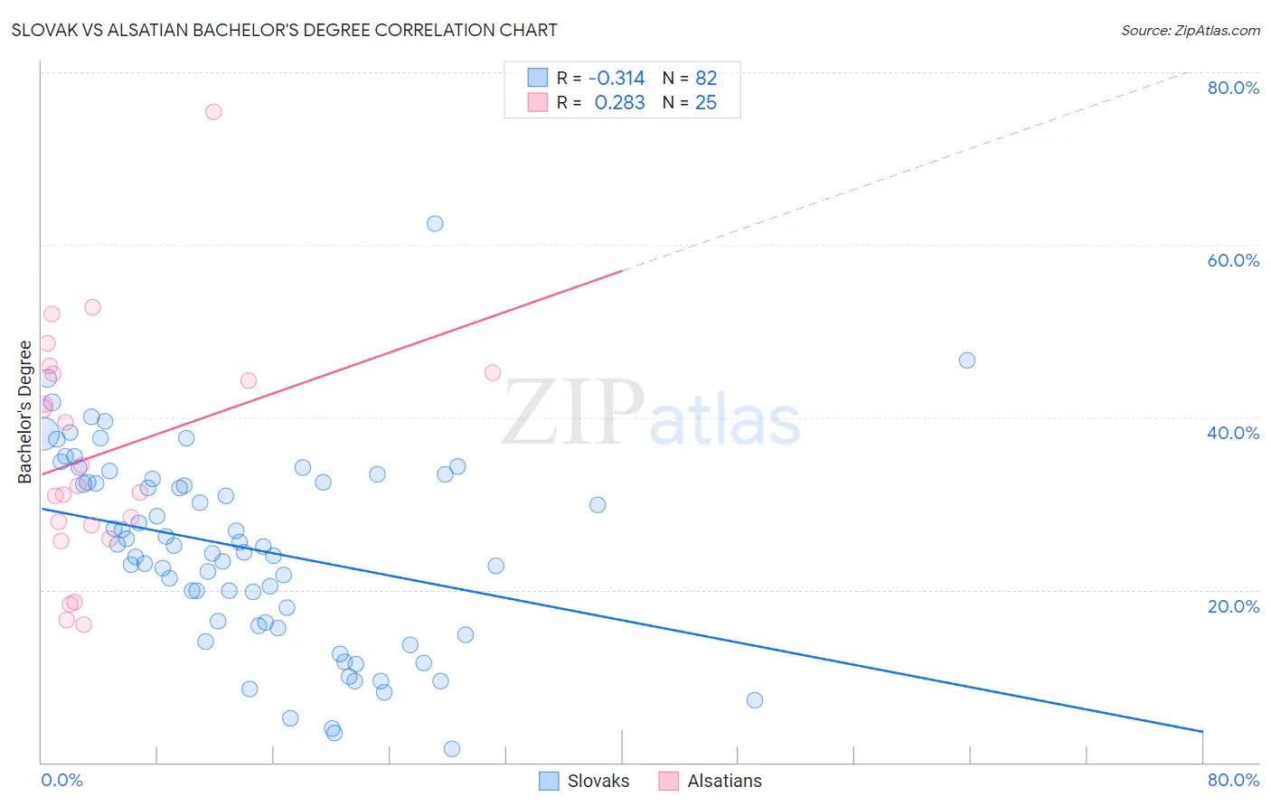 Slovak vs Alsatian Bachelor's Degree