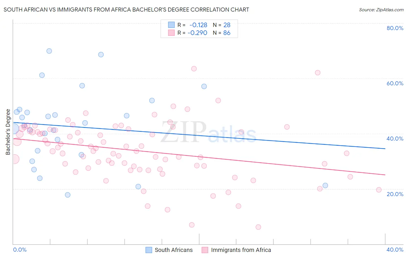 South African vs Immigrants from Africa Bachelor's Degree