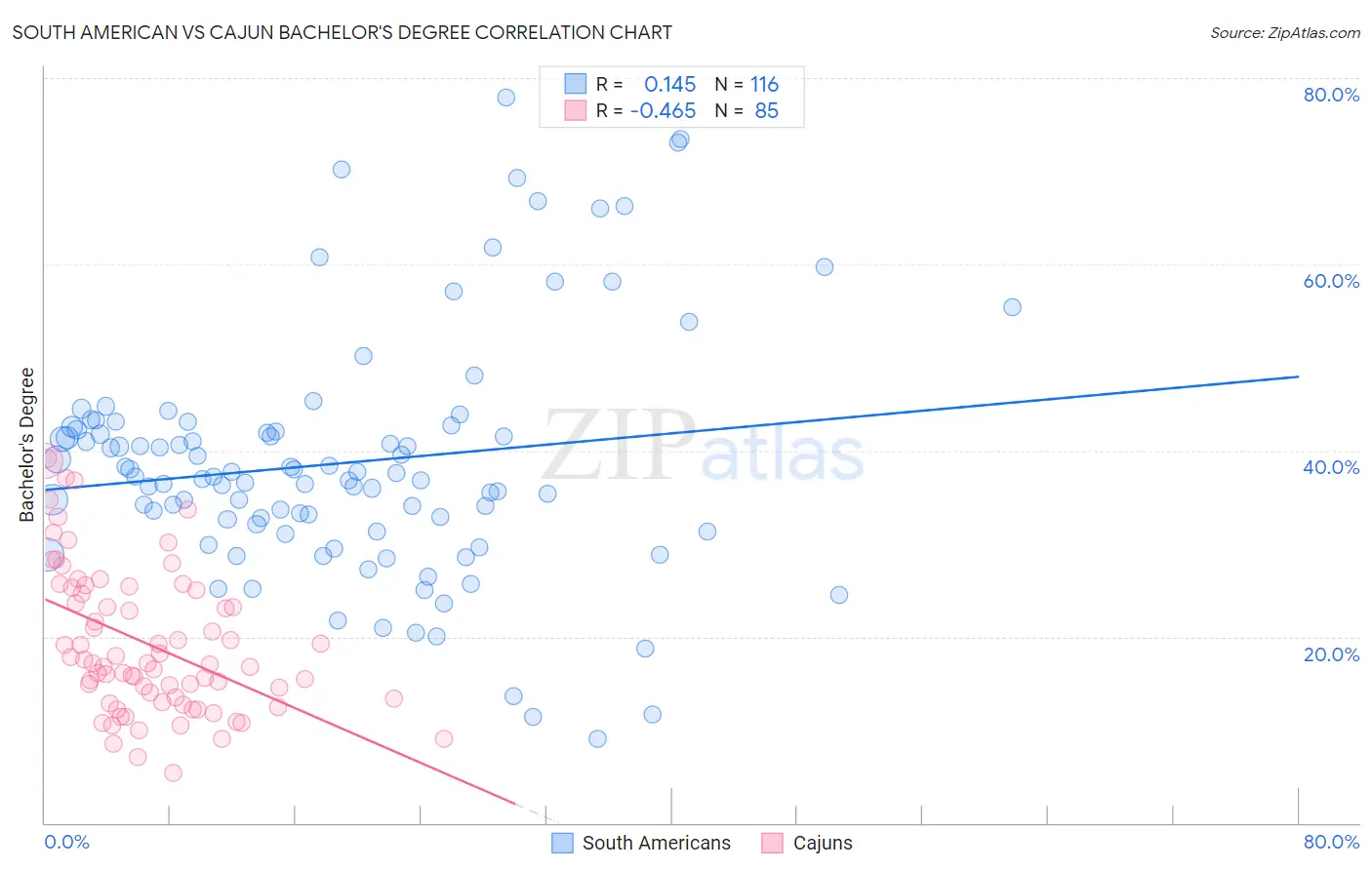South American vs Cajun Bachelor's Degree