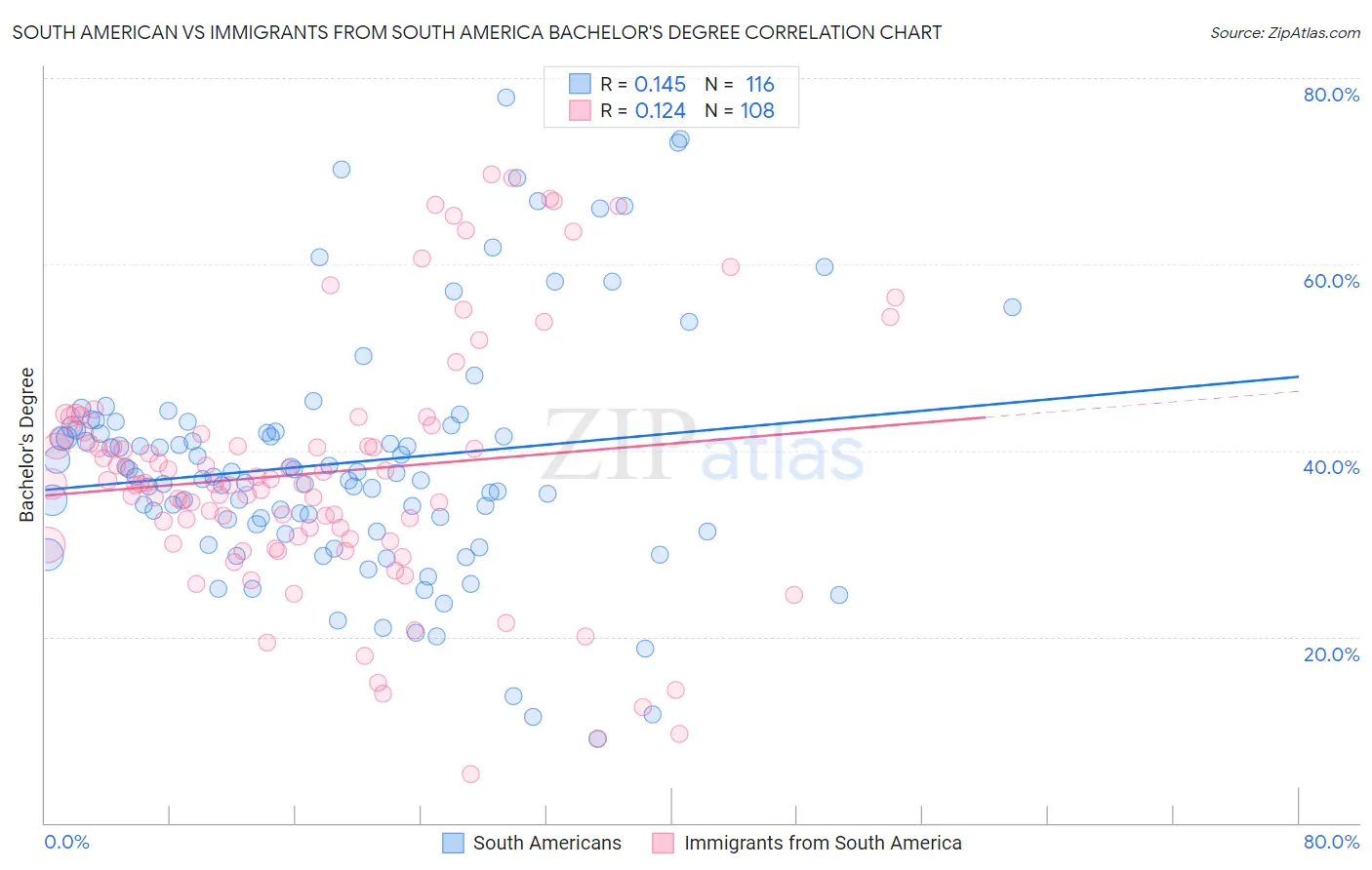 South American vs Immigrants from South America Bachelor's Degree