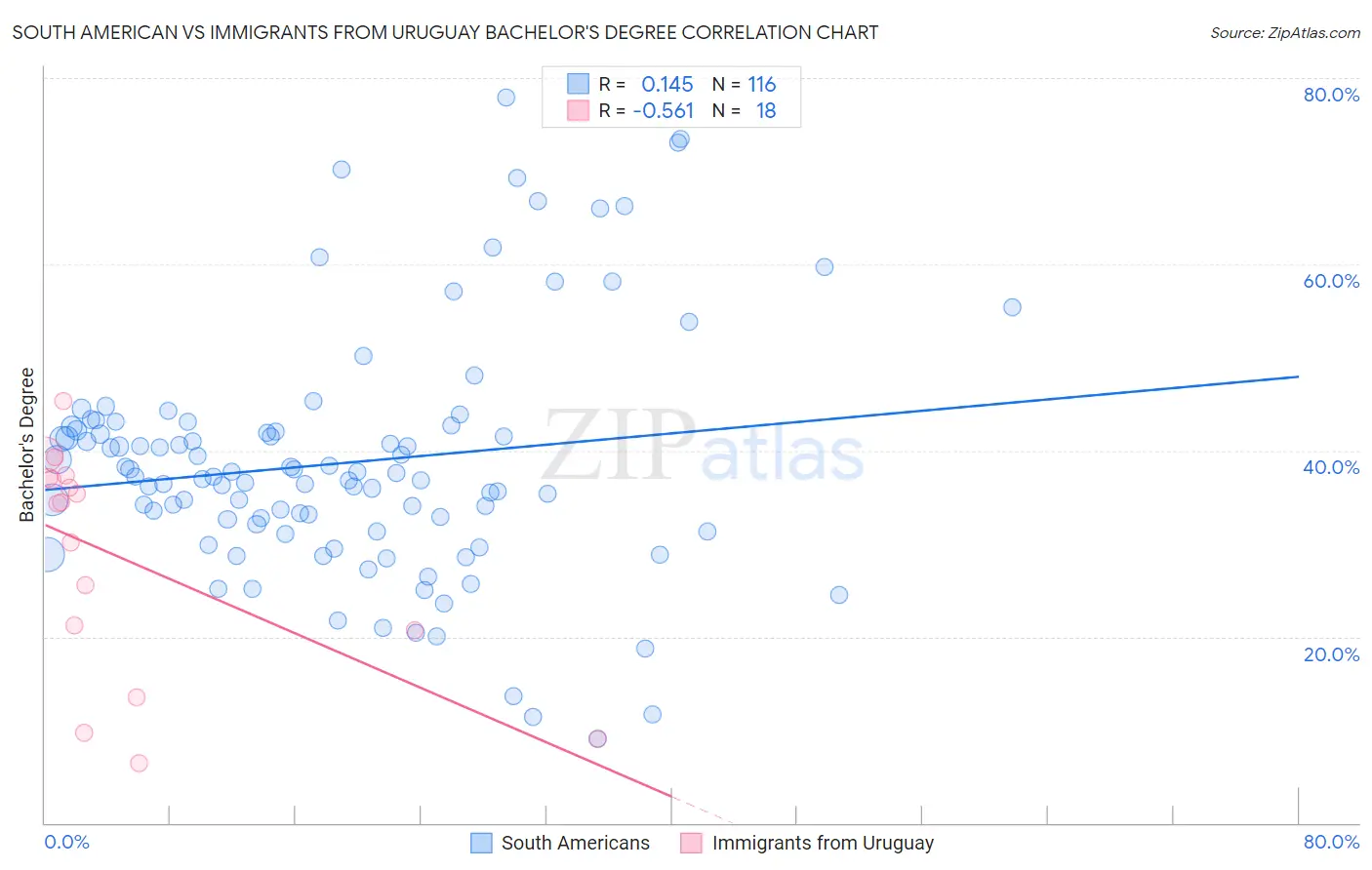 South American vs Immigrants from Uruguay Bachelor's Degree