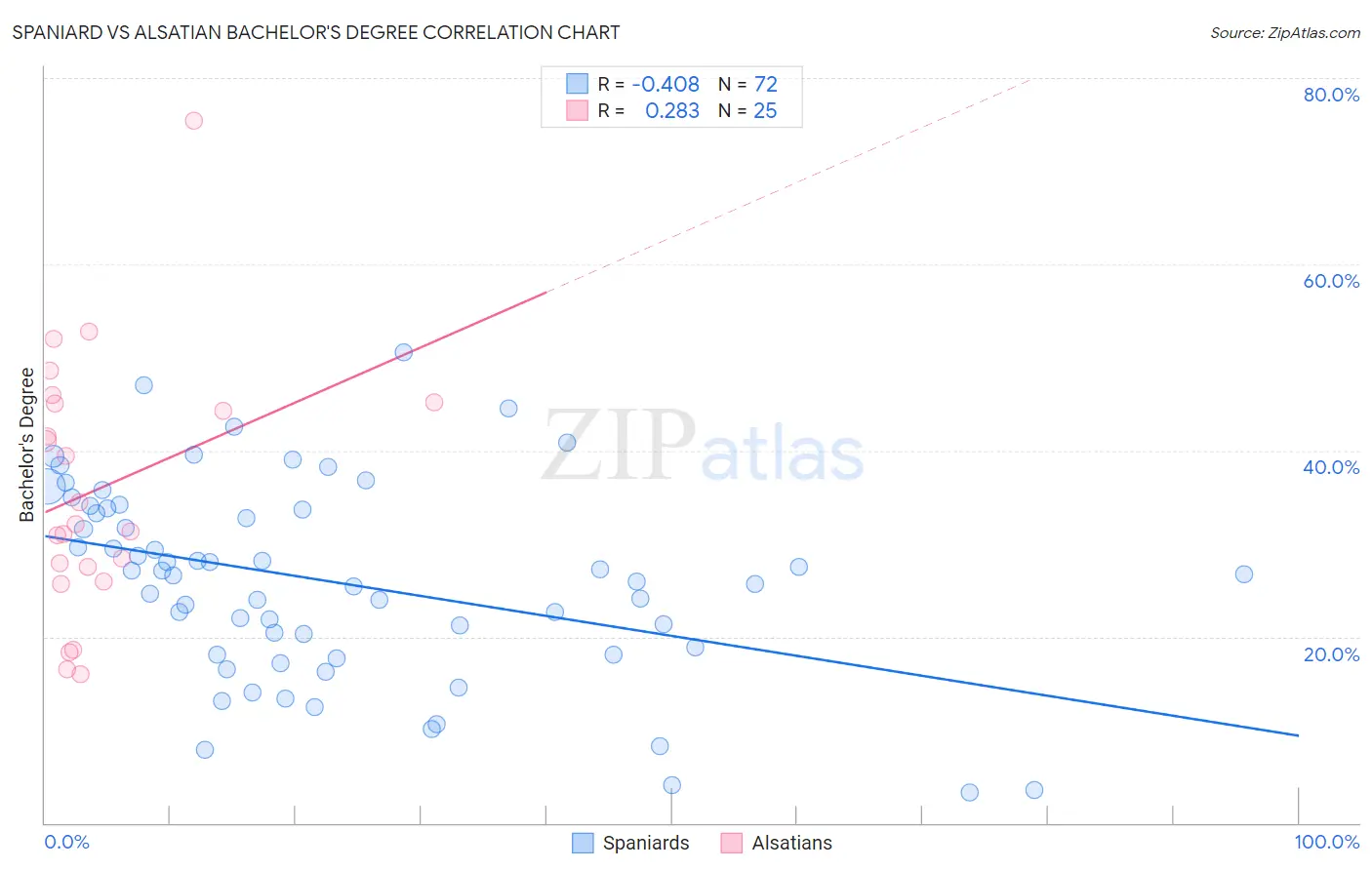 Spaniard vs Alsatian Bachelor's Degree