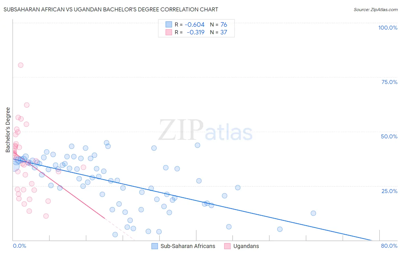 Subsaharan African vs Ugandan Bachelor's Degree