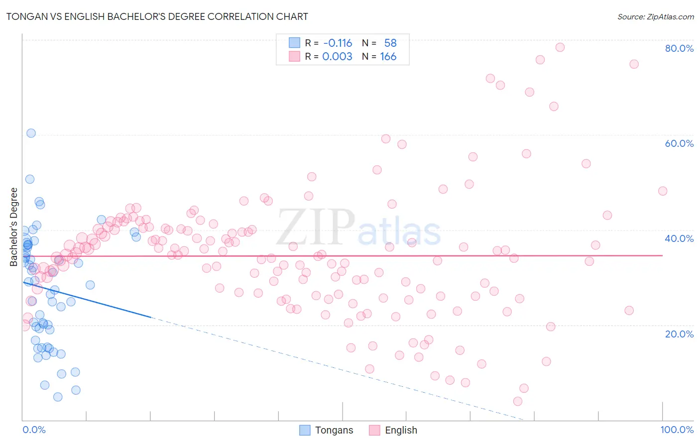 Tongan vs English Bachelor's Degree