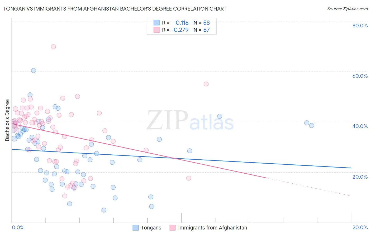 Tongan vs Immigrants from Afghanistan Bachelor's Degree
