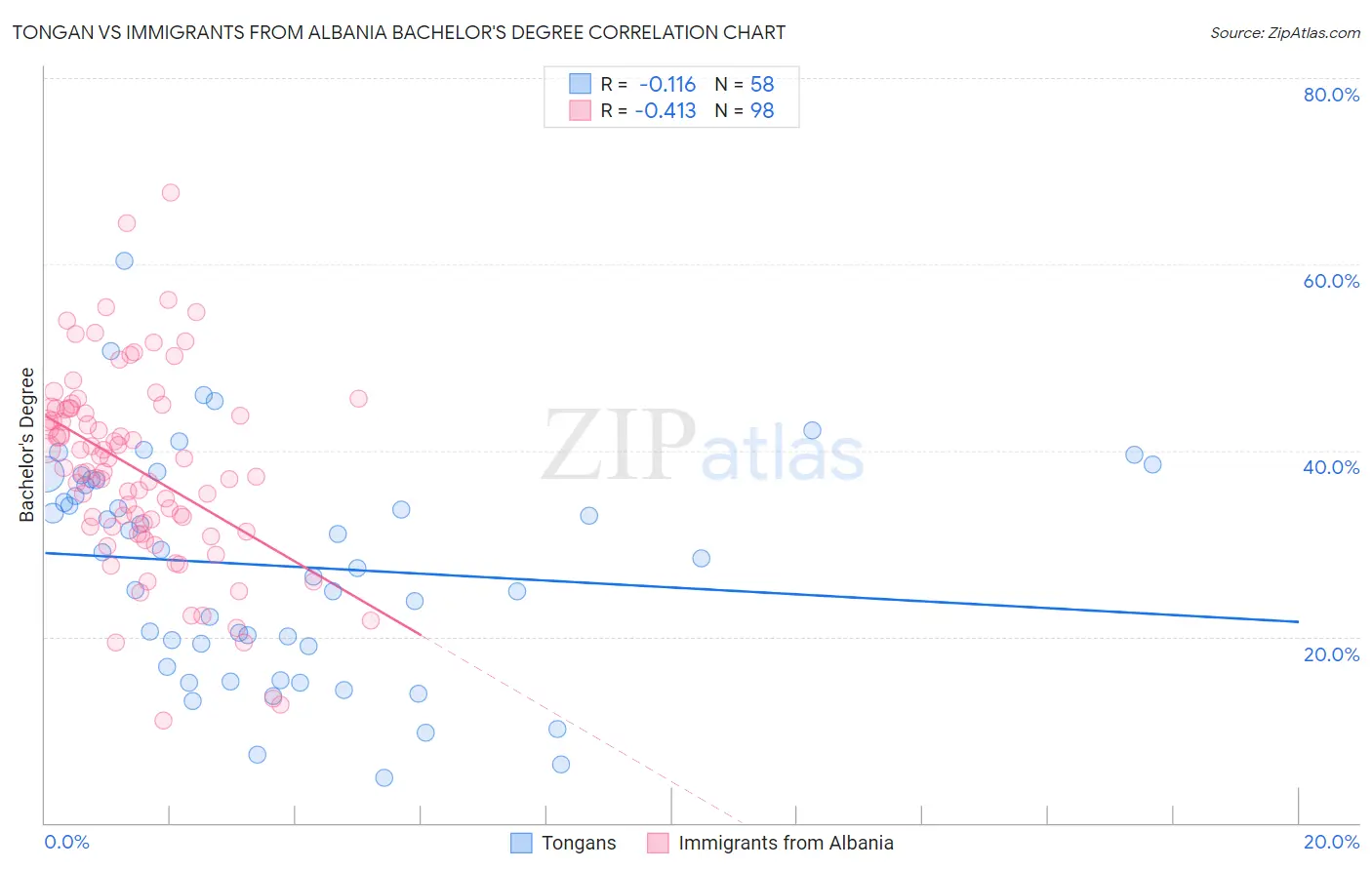 Tongan vs Immigrants from Albania Bachelor's Degree
