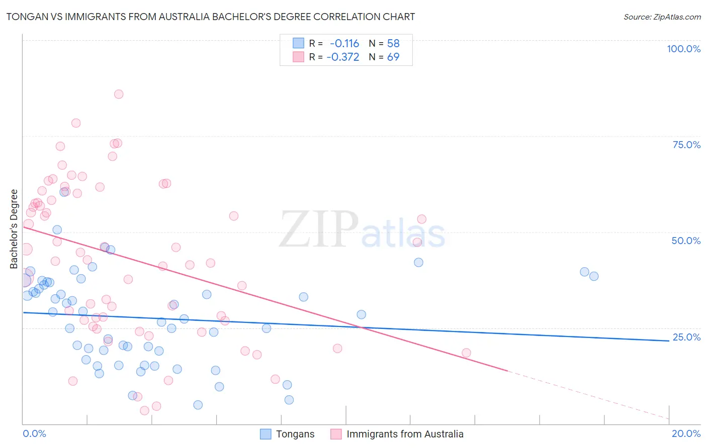 Tongan vs Immigrants from Australia Bachelor's Degree