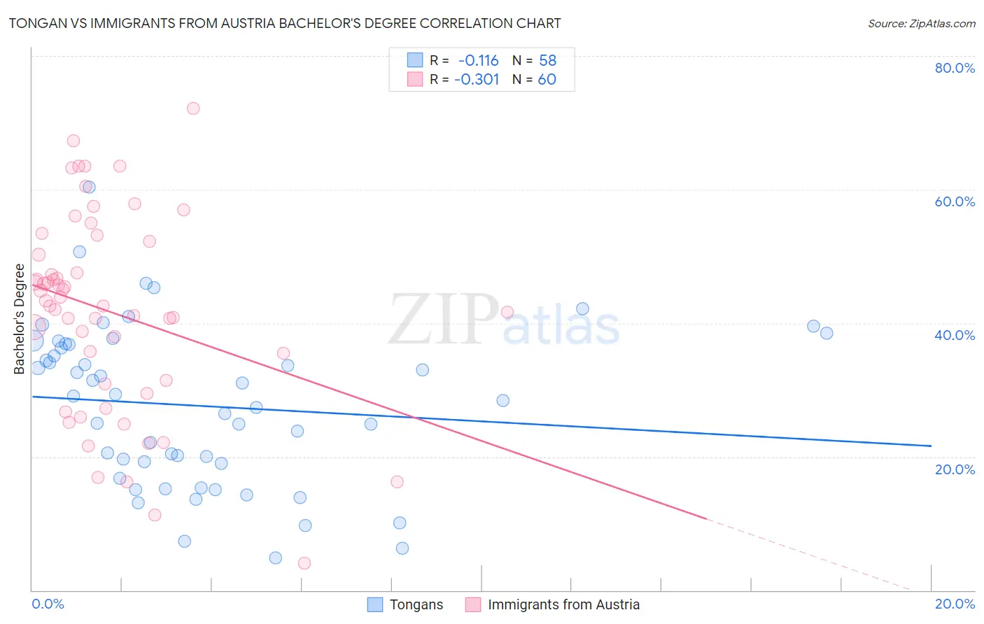 Tongan vs Immigrants from Austria Bachelor's Degree