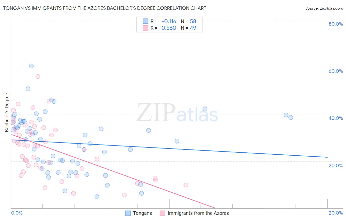 Tongan vs Immigrants from the Azores Bachelor's Degree