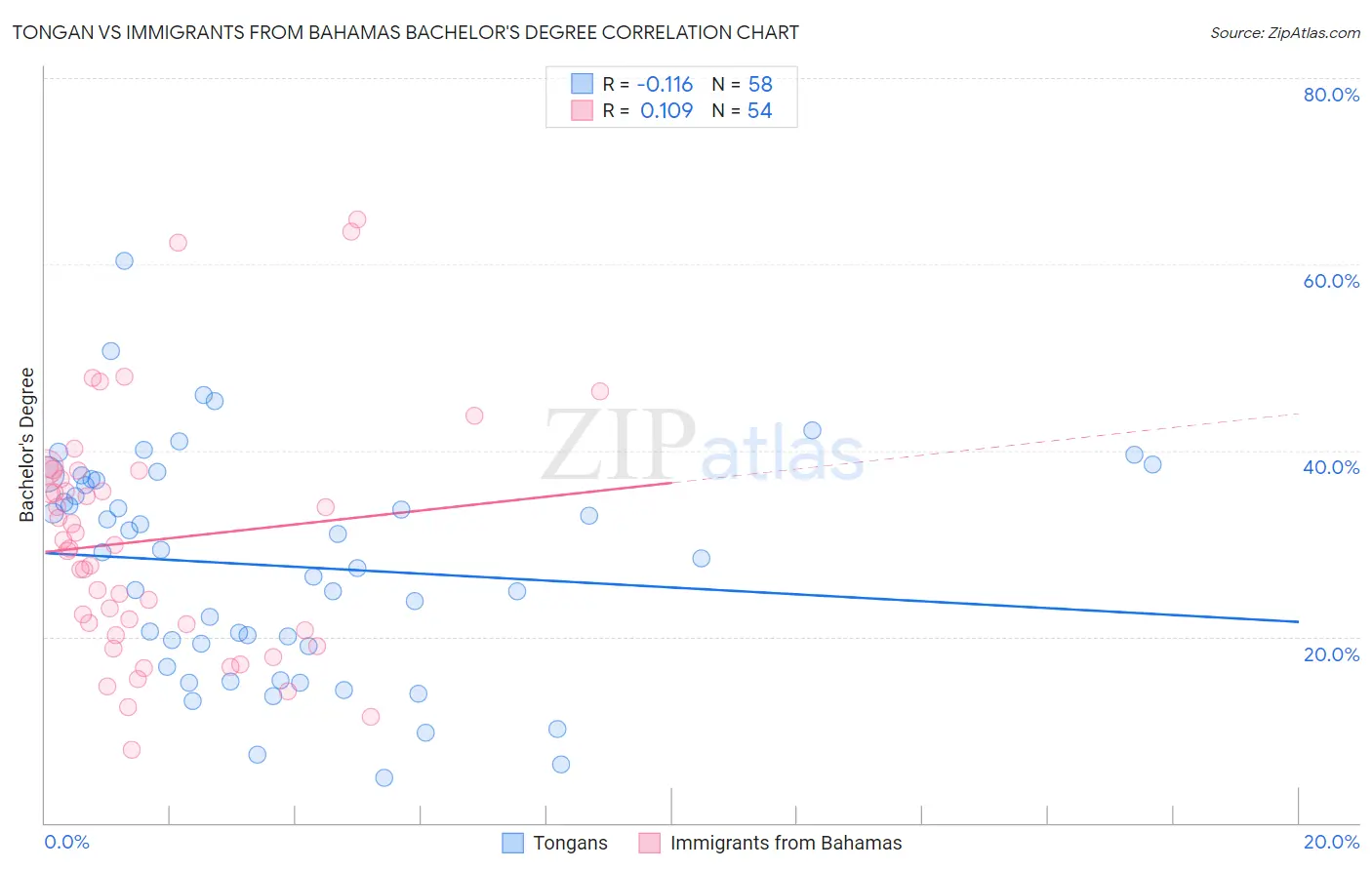 Tongan vs Immigrants from Bahamas Bachelor's Degree