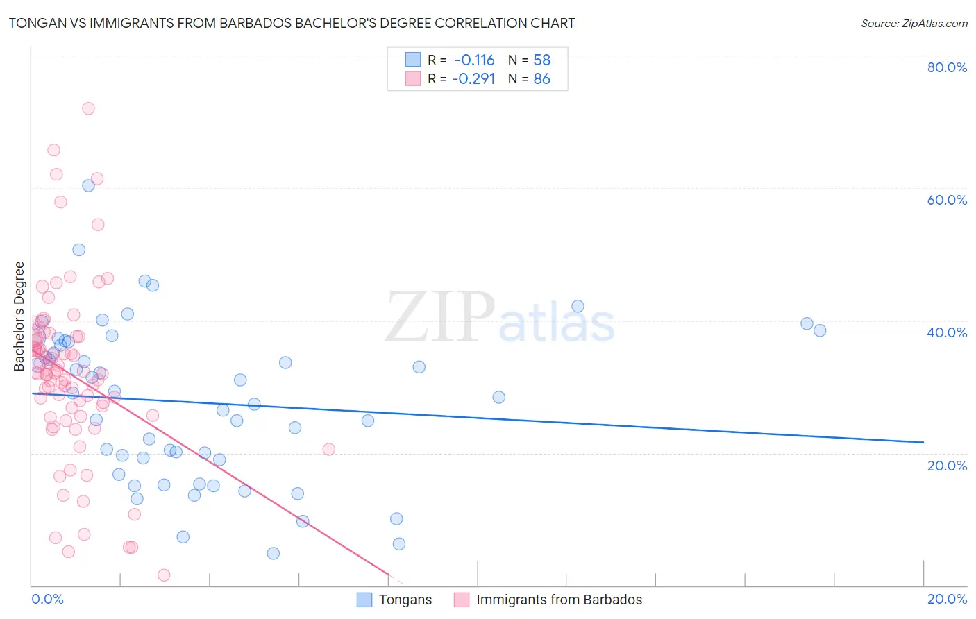 Tongan vs Immigrants from Barbados Bachelor's Degree