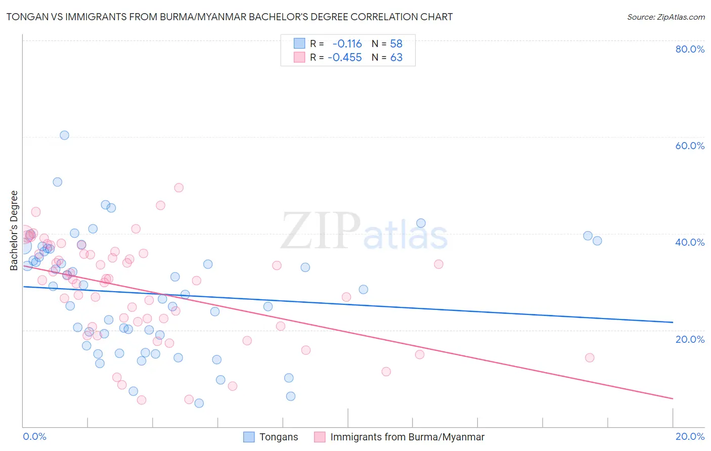 Tongan vs Immigrants from Burma/Myanmar Bachelor's Degree