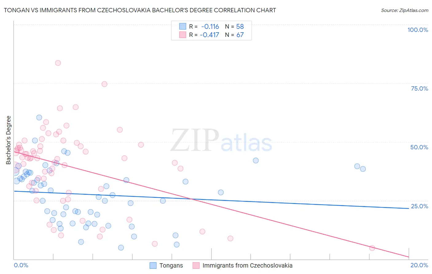 Tongan vs Immigrants from Czechoslovakia Bachelor's Degree